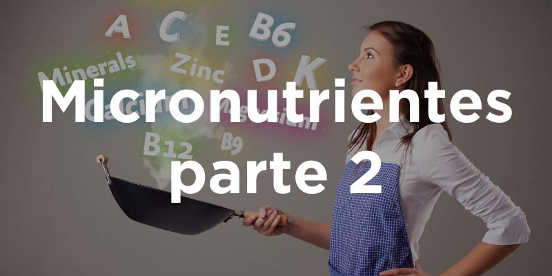 Micronutrientes II