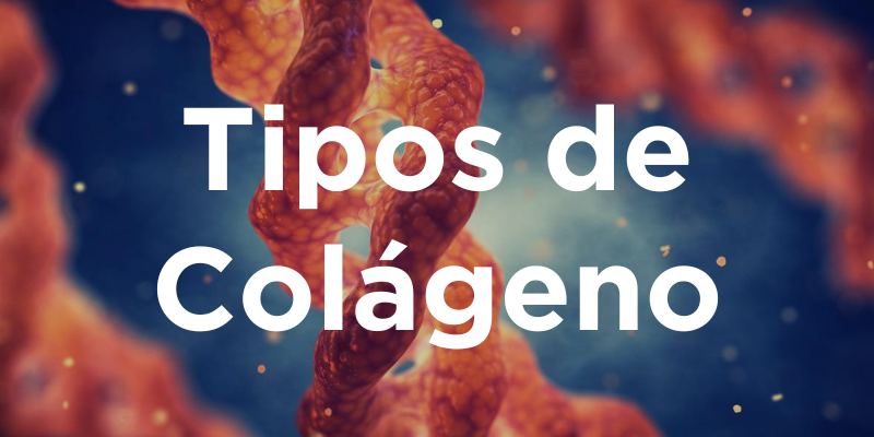 Tipos De Colágeno