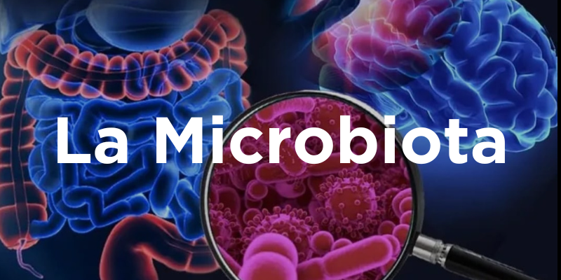 La Microbiota